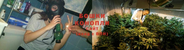 тгк Богородск