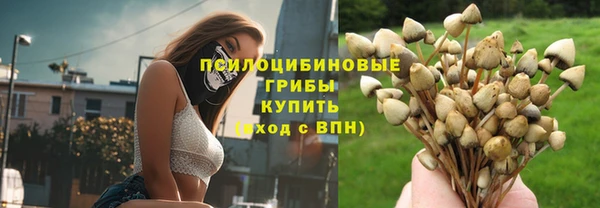 тгк Богородск